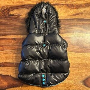 Black Puffer Dog Jacket with Blue Accents by Luv Gear